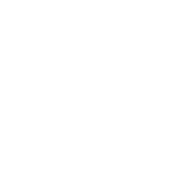 vamed_white_on_transparent_bg.png